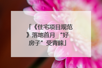 《住宅项目规范》落地首月 “好房子”受青睐