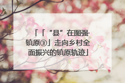 「“县”在图强·镇原③」走向乡村全面振兴的镇原轨迹