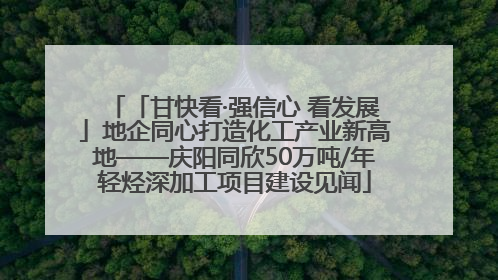 「甘快看·强信心 看发展」地企同心打造化工产业新高地——庆阳同欣50万吨/年轻烃深加工项目建设见闻