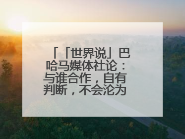 「世界说」巴哈马媒体社论：与谁合作，自有判断，不会沦为“权力游戏”