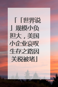 「世界说」规模小负担大，美国小企业哀叹生存之路因关税被堵