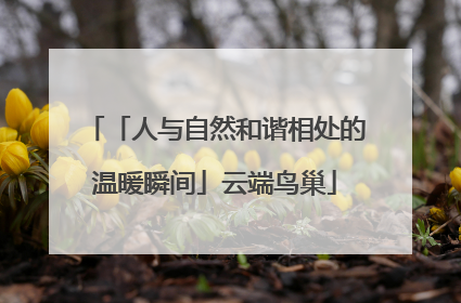 「人与自然和谐相处的温暖瞬间」云端鸟巢