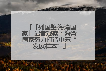 「列国鉴·海湾国家」记者观察：海湾国家努力打造中东“发展样本”