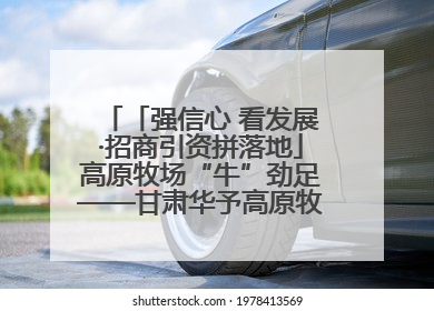 「强信心 看发展·招商引资拼落地」高原牧场“牛”劲足——甘肃华予高原牧场高标准奶牛肉牛养殖项目一线见闻