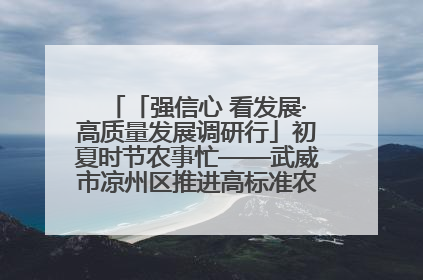 「强信心 看发展·高质量发展调研行」初夏时节农事忙——武威市凉州区推进高标准农田建设见闻