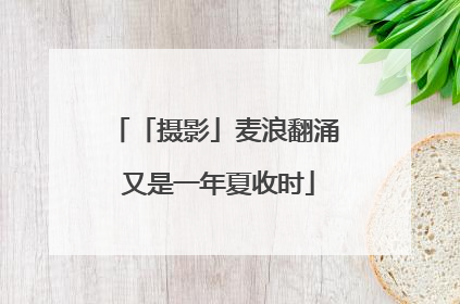 「摄影」麦浪翻涌 又是一年夏收时