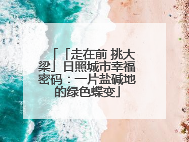 「走在前 挑大梁」日照城市幸福密码：一片盐碱地的绿色蝶变