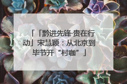 「黔进先锋·贵在行动」宋慧颖：从北京到毕节开“村咖”