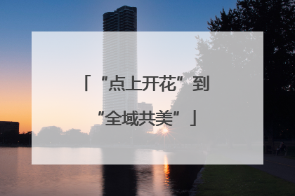 “点上开花”到“全域共美”
