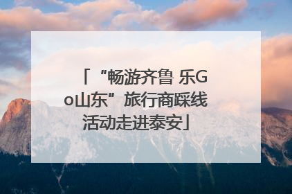 “畅游齐鲁 乐Go山东”旅行商踩线活动走进泰安