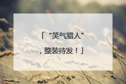 “笑气猎人”，整装待发！