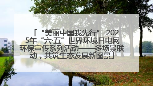 “美丽中国我先行” 2025年“六·五”世界环境日电网环保宣传系列活动——多场景联动，共筑生态发展新图景