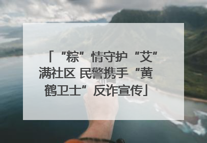 “粽”情守护“艾”满社区 民警携手“黄鹤卫士”反诈宣传