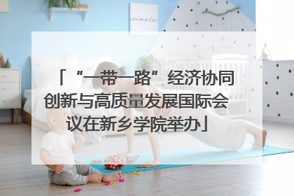 “一带一路”经济协同创新与高质量发展国际会议在新乡学院举办