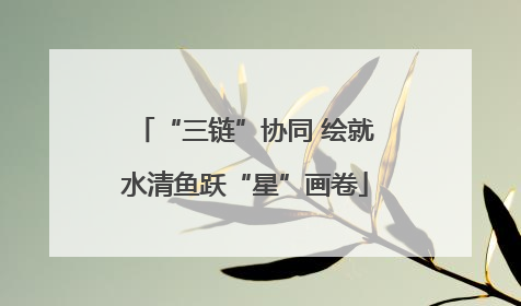 “三链”协同 绘就水清鱼跃“星”画卷