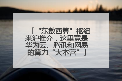 “东数西算”枢纽来沪推介，这里竟是华为云、腾讯和网易的算力“大本营”
