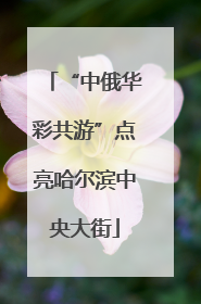 “中俄华彩共游”点亮哈尔滨中央大街