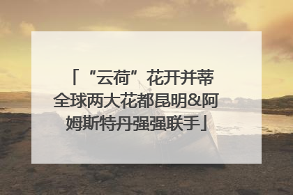 “云荷”花开并蒂 全球两大花都昆明&阿姆斯特丹强强联手