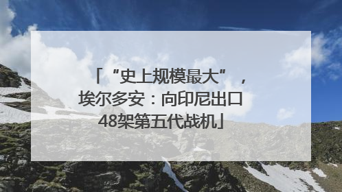 “史上规模最大”，埃尔多安：向印尼出口48架第五代战机