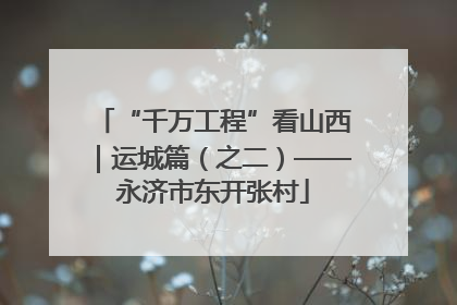 “千万工程”看山西｜运城篇（之二）——永济市东开张村