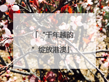 “千年越韵”绽放港澳