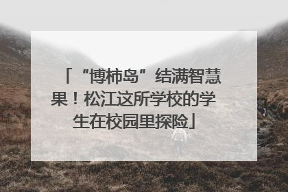 “博柿岛”结满智慧果！松江这所学校的学生在校园里探险