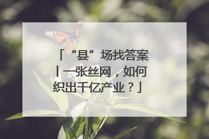 “县”场找答案丨一张丝网，如何织出千亿产业？