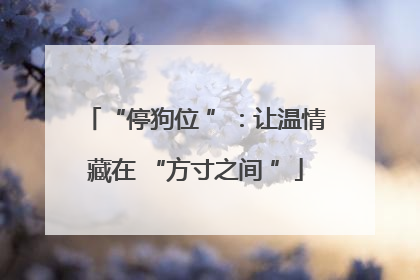 “停狗位 ”：让温情藏在 “方寸之间 ”