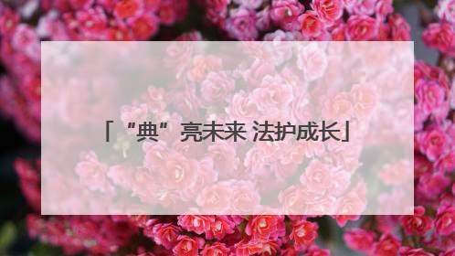 “典”亮未来 法护成长