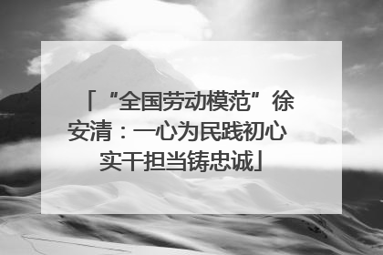 “全国劳动模范”徐安清：一心为民践初心 实干担当铸忠诚
