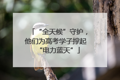 “全天候”守护，他们为高考学子撑起“电力蓝天”