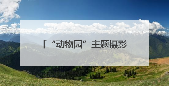 “动物园”主题摄影展在清河艺术馆开展