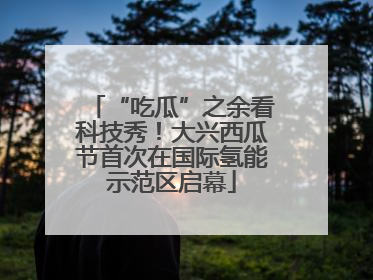 “吃瓜”之余看科技秀！大兴西瓜节首次在国际氢能示范区启幕