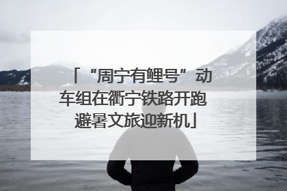 “周宁有鲤号”动车组在衢宁铁路开跑 避暑文旅迎新机