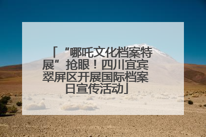 “哪吒文化档案特展”抢眼！四川宜宾翠屏区开展国际档案日宣传活动
