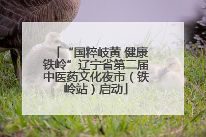 “国粹岐黄 健康铁岭”辽宁省第二届中医药文化夜市（铁岭站）启动