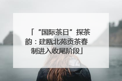 “国际茶日”探茶韵：建瓯北苑贡茶春制进入收尾阶段