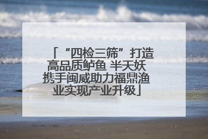 “四检三筛”打造高品质鲈鱼 半天妖携手闽威助力福鼎渔业实现产业升级