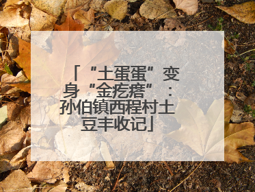 “土蛋蛋”变身“金疙瘩”：孙伯镇西程村土豆丰收记