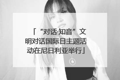 “对话·知音”文明对话国际日主题活动在尼日利亚举行