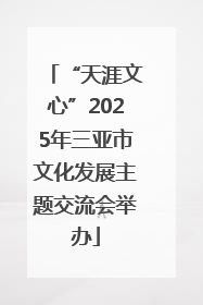 “天涯文心”2025年三亚市文化发展主题交流会举办