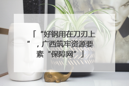 “好钢用在刀刃上”，广西筑牢资源要素“保障网”