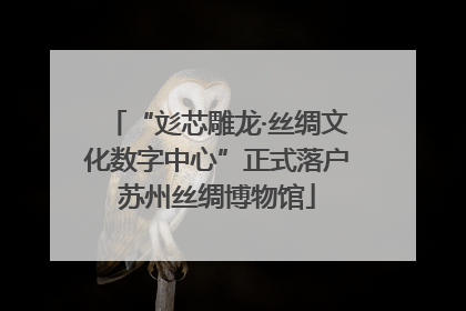 “彣芯雕龙·丝绸文化数字中心”正式落户苏州丝绸博物馆