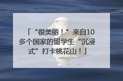 “很美丽！”来自10多个国家的留学生“沉浸式”打卡桃花山！
