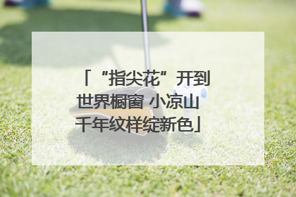 “指尖花”开到世界橱窗 小凉山千年纹样绽新色