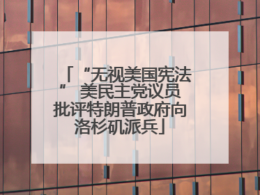 “无视美国宪法” 美民主党议员批评特朗普政府向洛杉矶派兵