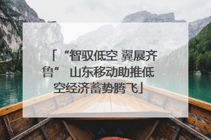 “智驭低空 翼展齐鲁” 山东移动助推低空经济蓄势腾飞