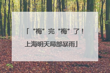 “梅”完“梅”了！上海明天局部暴雨