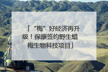 “梅”好经济再升级！保康签约野生蜡梅生物科技项目