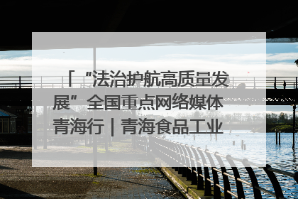 “法治护航高质量发展”全国重点网络媒体青海行｜青海食品工业协会：架起“青字号”美食的产业化桥梁